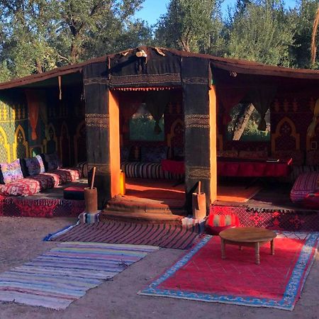 Eco-Ferme Tamalait Skoura Hotel Luaran gambar